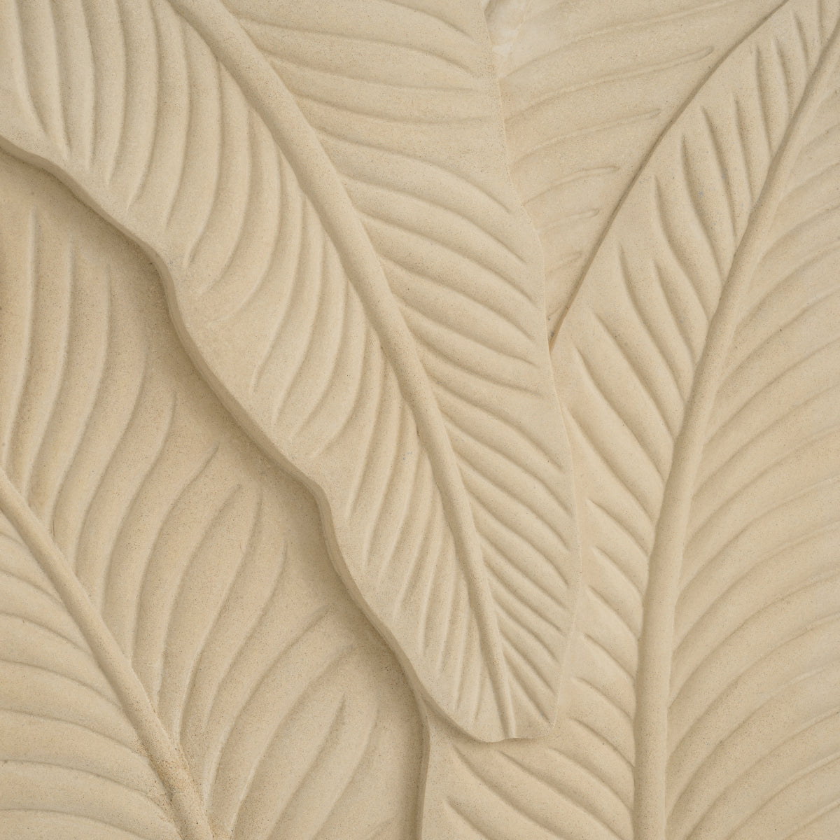 Cream Plant Wall Object Zanzibar | Cabothousefurniture.com