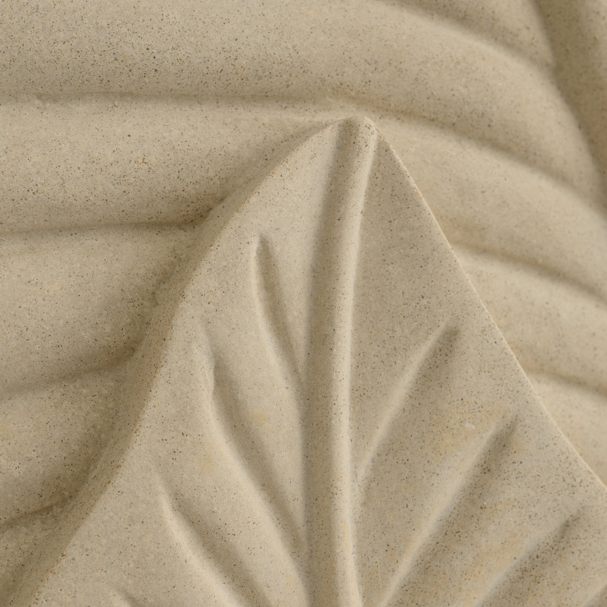 Cream Plant Wall Object Zanzibar | Cabothousefurniture.com