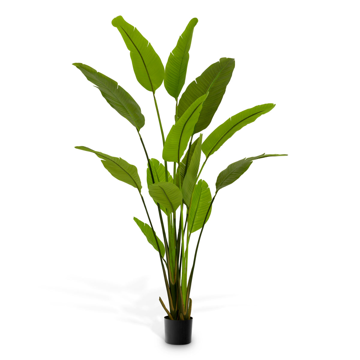 Green Artificial Plant Strelitzia | Cabothousefurniture.com