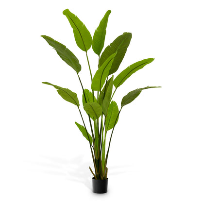 Green Artificial Plant Strelitzia | Cabothousefurniture.com