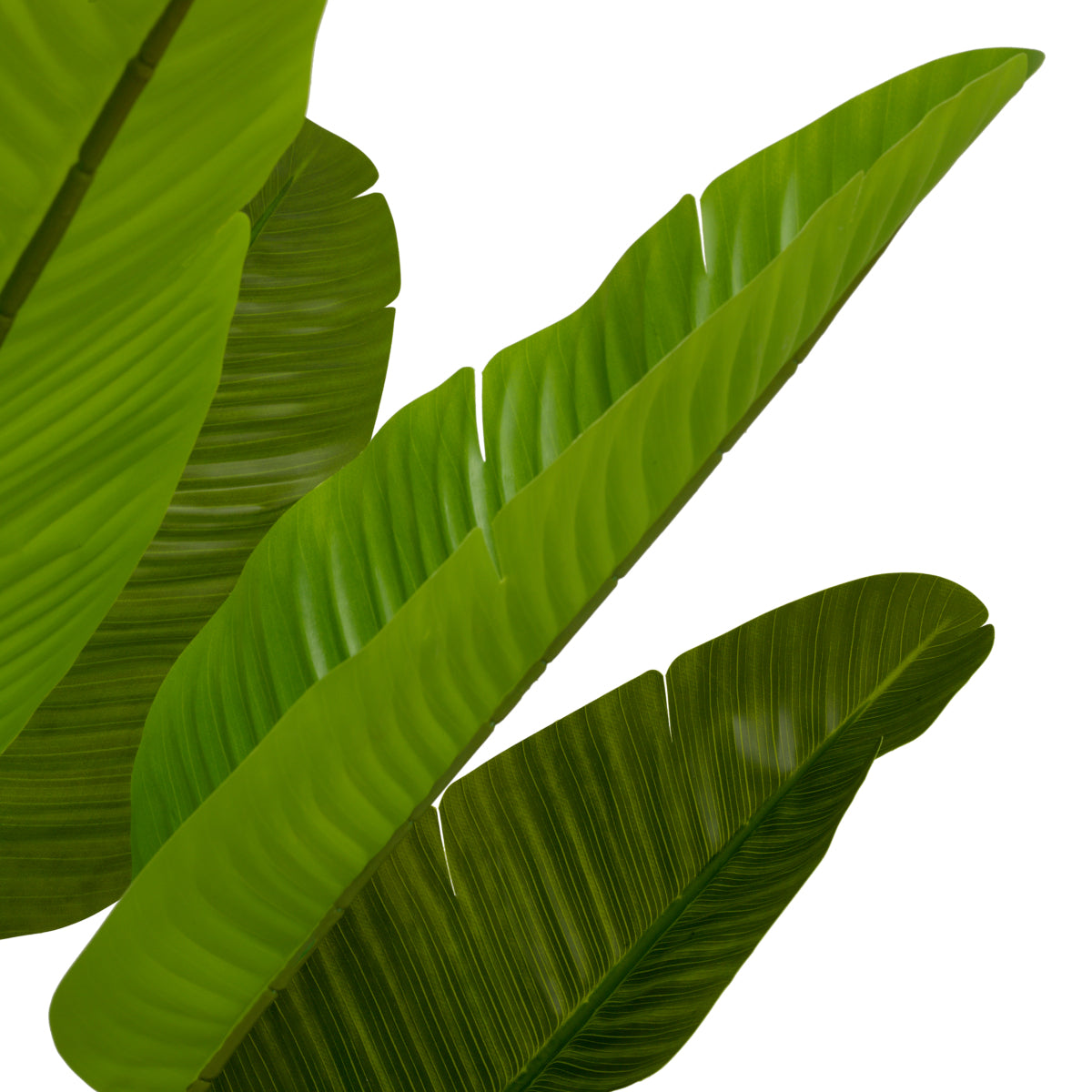 Green Artificial Plant Strelitzia | Cabothousefurniture.com