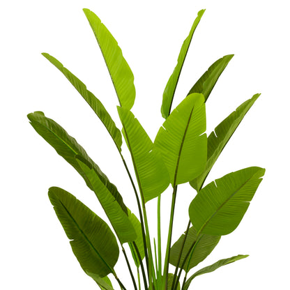 Green Artificial Plant Strelitzia | Cabothousefurniture.com