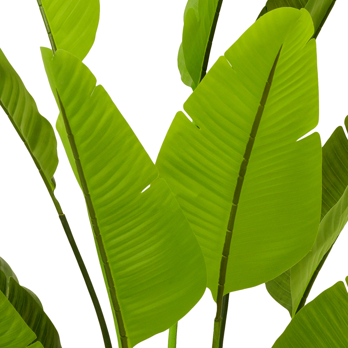 Green Artificial Plant Strelitzia | Cabothousefurniture.com
