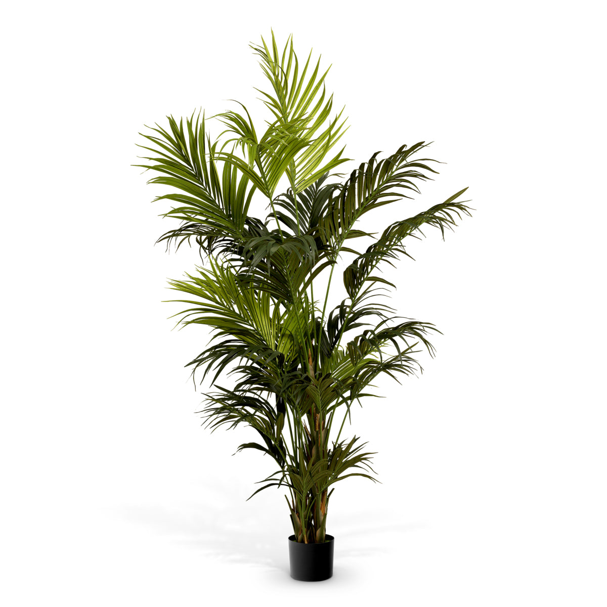 Green Artificial Plant Kentia Palm | Cabothousefurniture.com