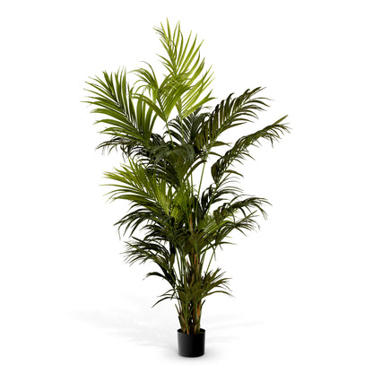 Green Artificial Plant Kentia Palm | Cabothousefurniture.com