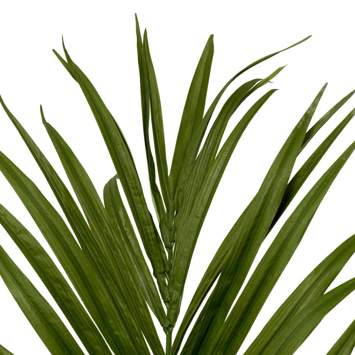 Green Artificial Plant Kentia Palm | Cabothousefurniture.com
