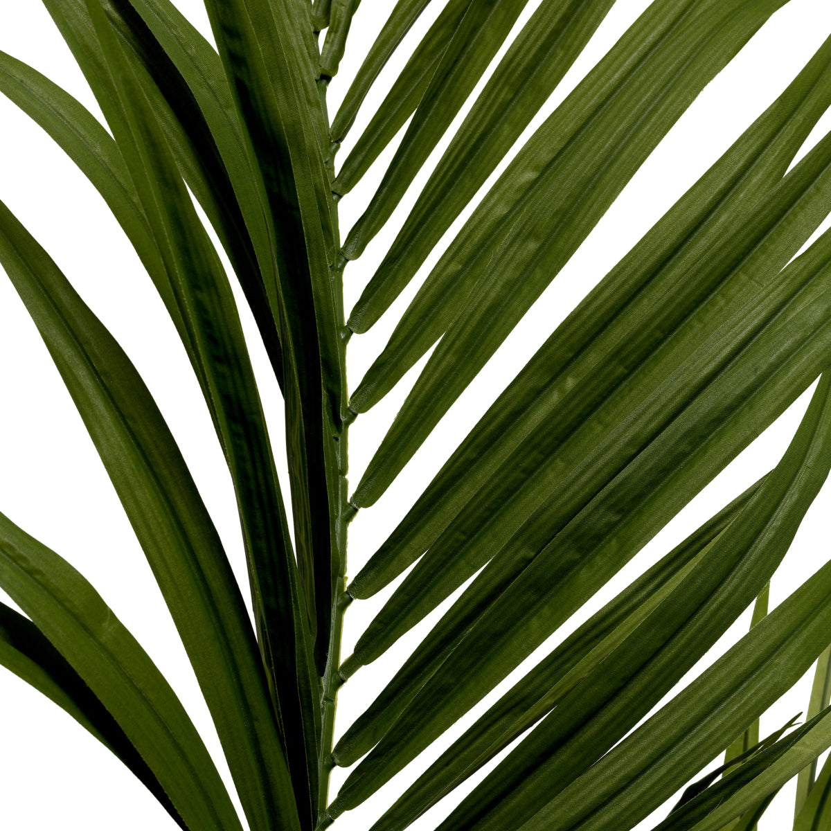 Green Artificial Plant Kentia Palm | Cabothousefurniture.com