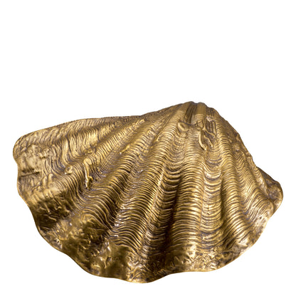 Brass Shell Decor Object Amandine