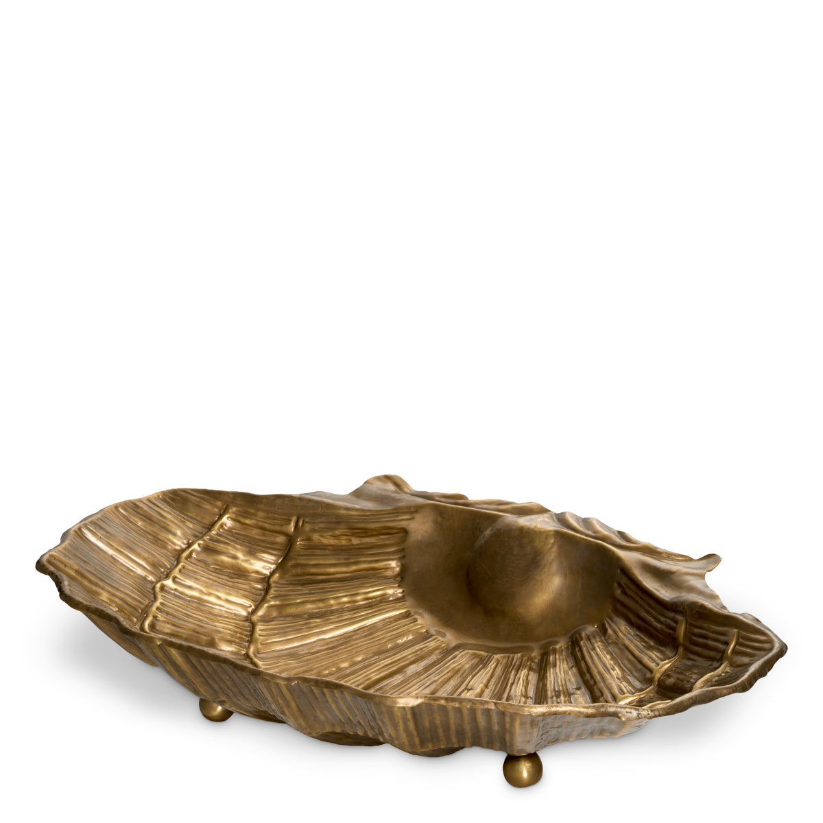 Gold Bowl Seashell | Cabothousefurniture.com