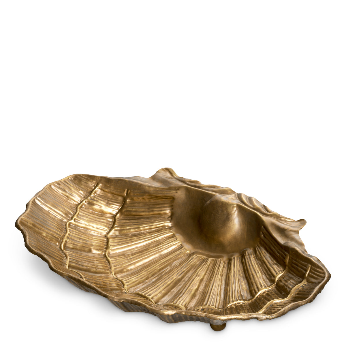 Gold Bowl Seashell | Cabothousefurniture.com