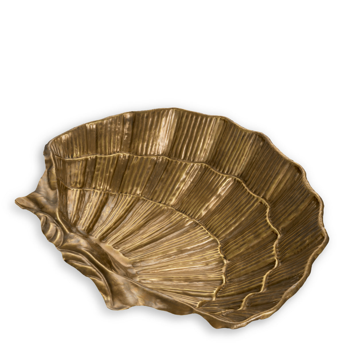 Gold Bowl Seashell | Cabothousefurniture.com