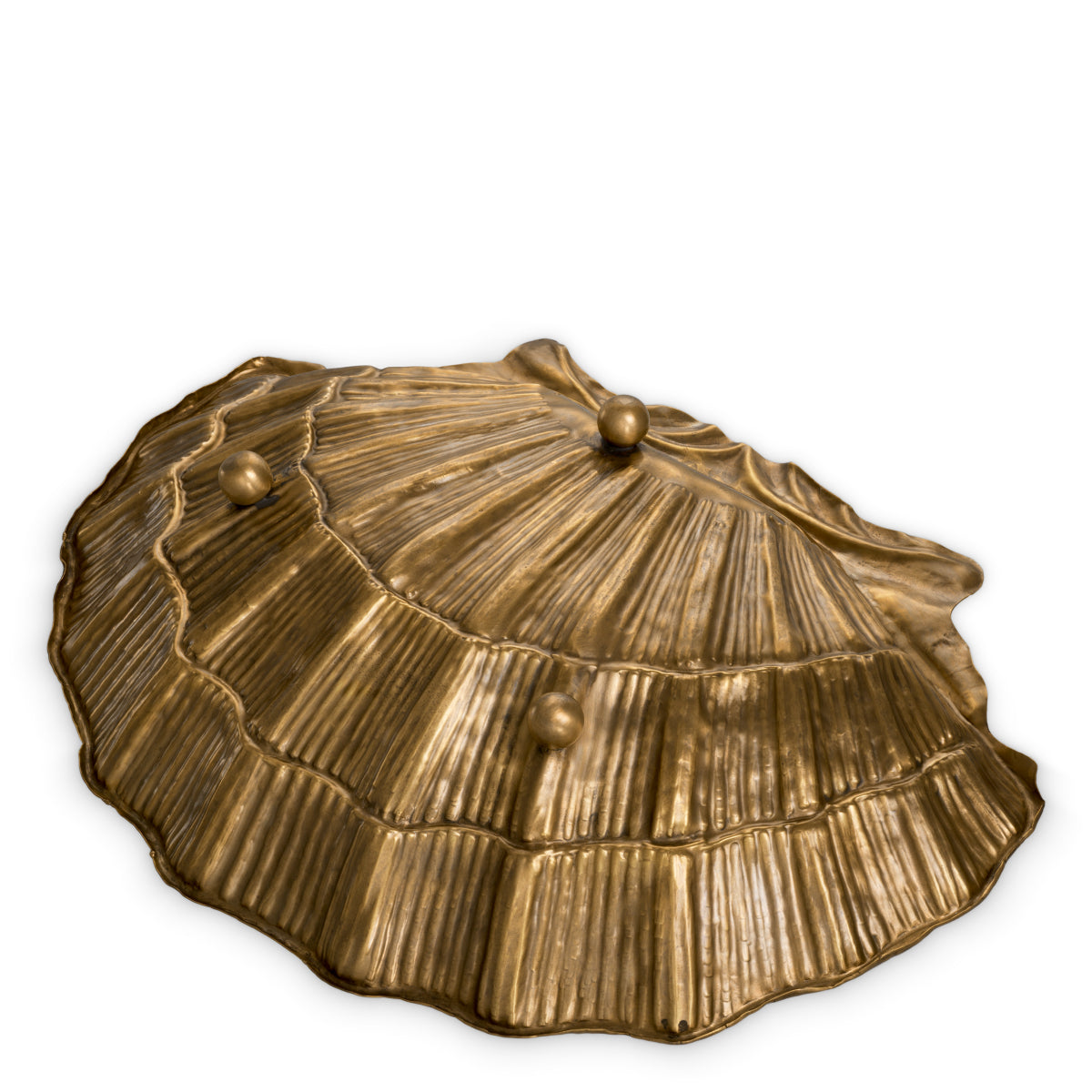 Gold Bowl Seashell | Cabothousefurniture.com