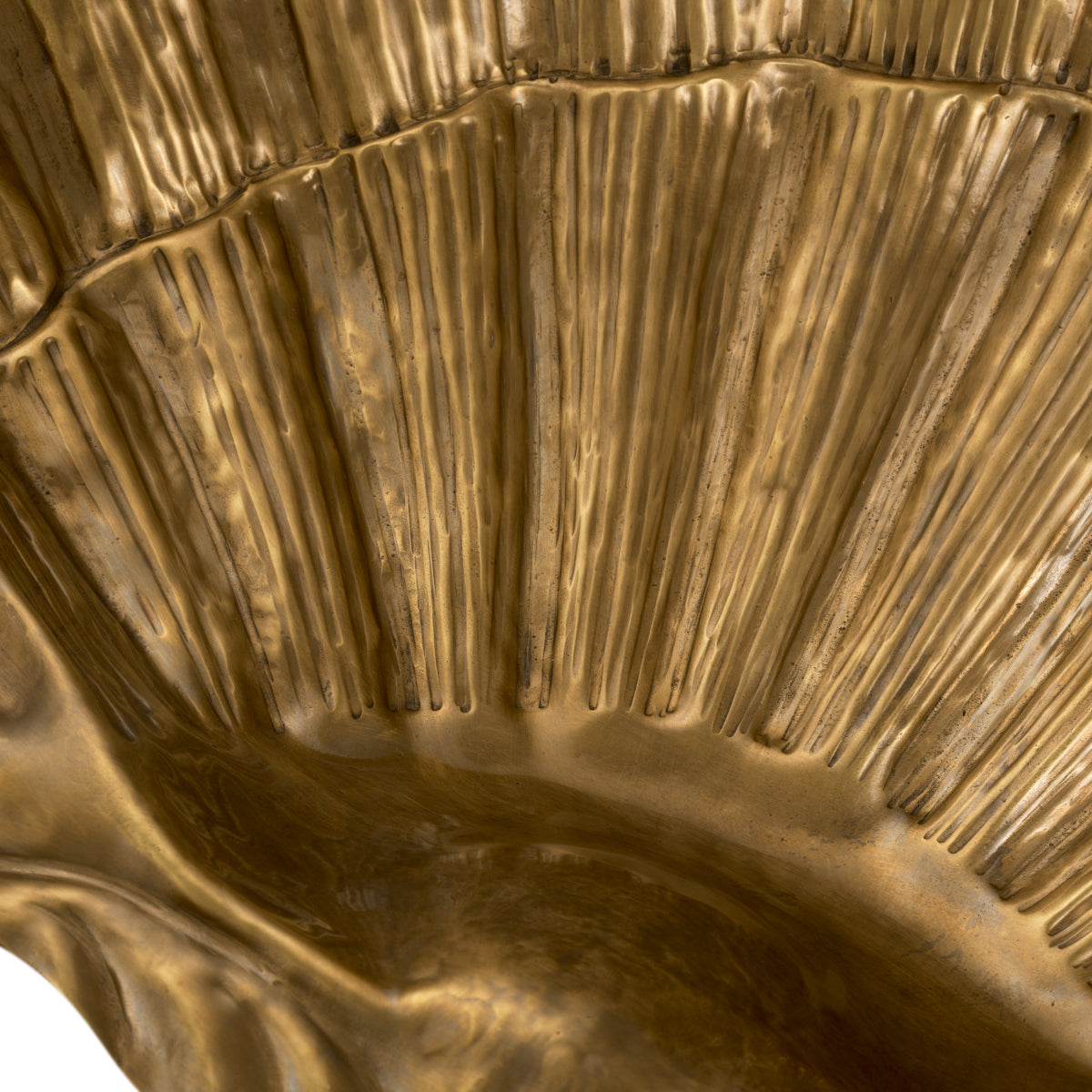 Gold Bowl Seashell | Cabothousefurniture.com