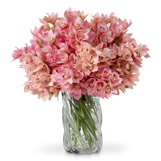 Pink Orchids Bouquet (36) Cymbidium | Cabothousefurniture.com
