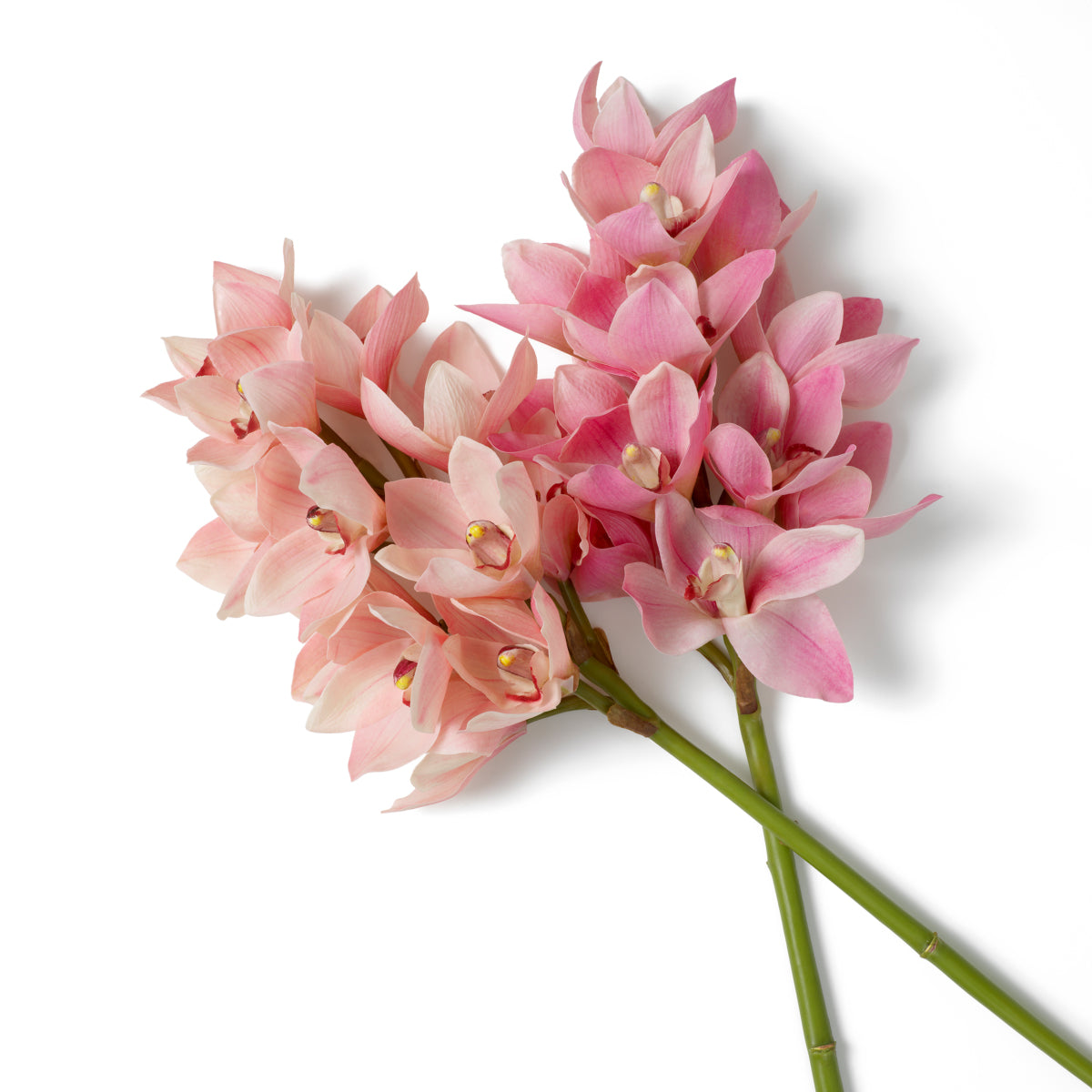 Pink Orchids Bouquet (36) Cymbidium | Cabothousefurniture.com