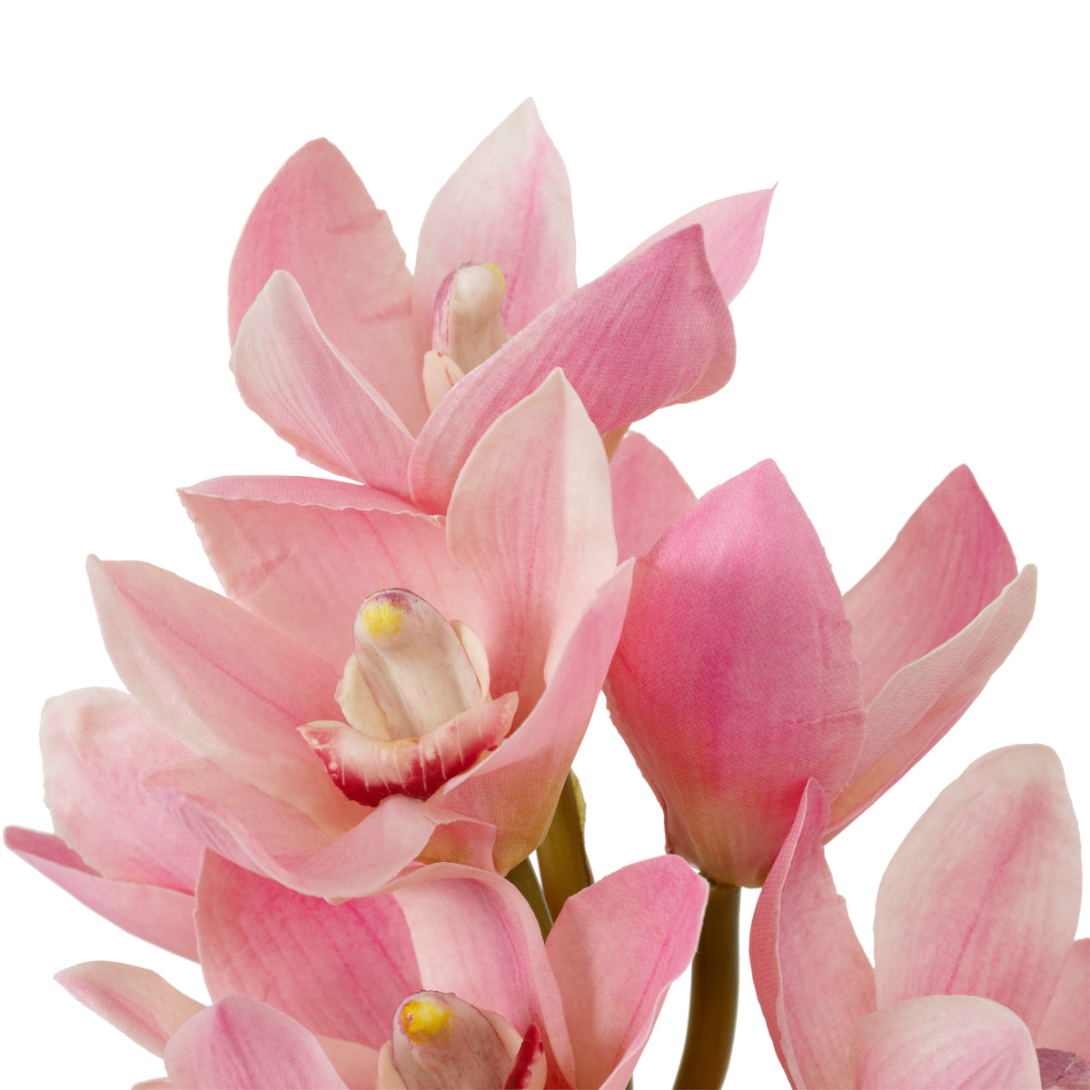 Pink Orchids Bouquet (36) Cymbidium | Cabothousefurniture.com