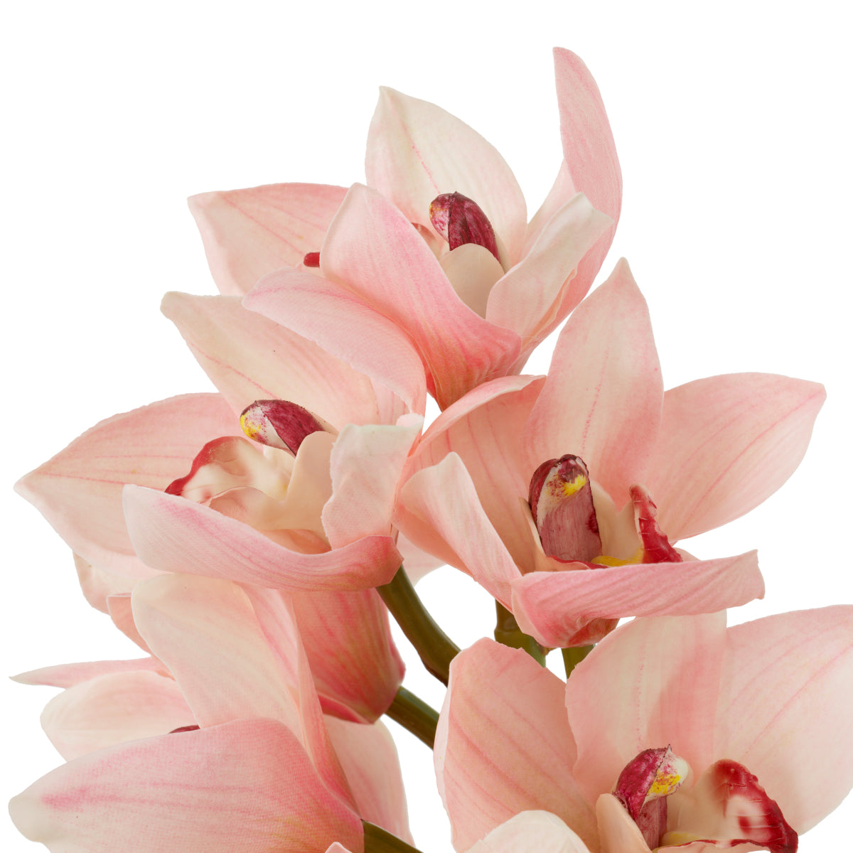 Pink Orchids Bouquet (36) Cymbidium | Cabothousefurniture.com