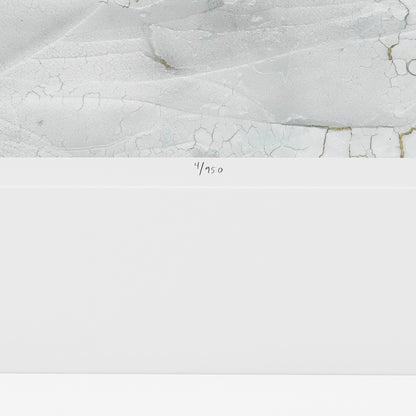 Art Prints Set (2) Rift Valley | Cabothousefurniture.com