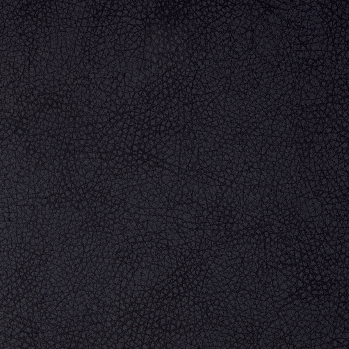 Curved Back Dining Chair Set (2) Cooper | Cabothousefurniture.com