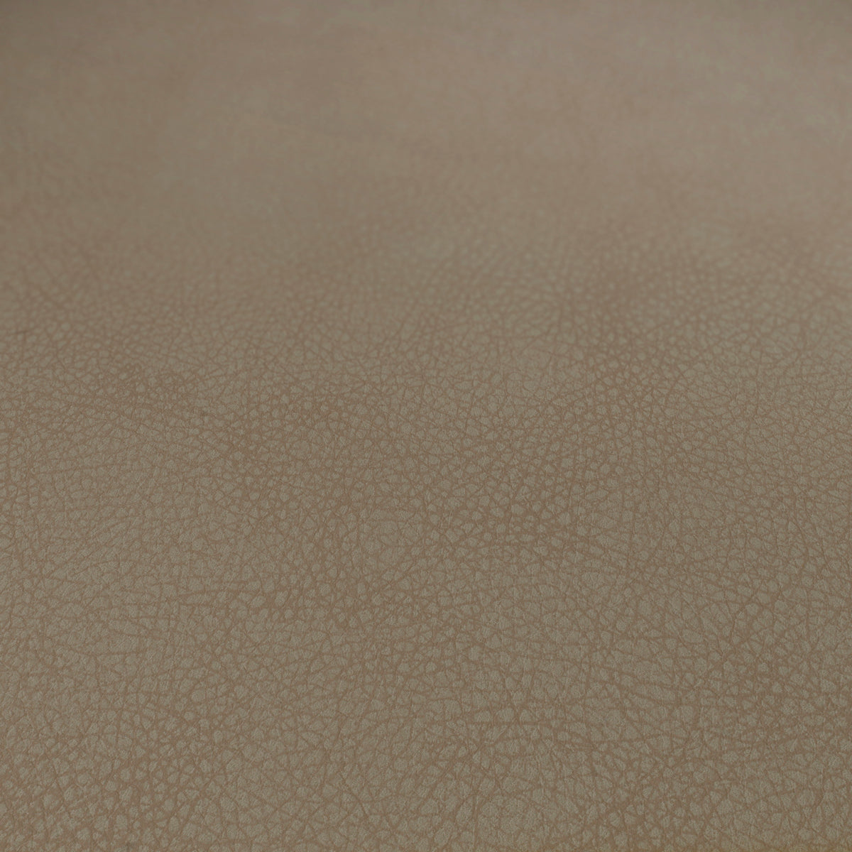 Curved Back Dining Chair Set (2) Cooper | Cabothousefurniture.com