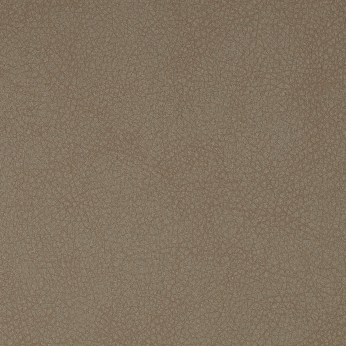 Curved Back Dining Chair Set (2) Cooper | Cabothousefurniture.com