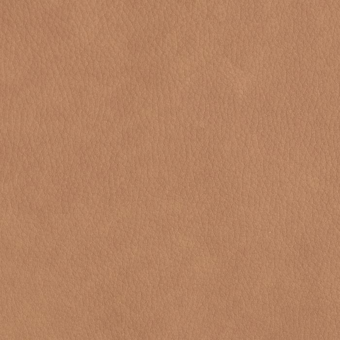 Metal Frame Dining Chair Donato | Cabothousefurniture.com