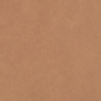 Metal Frame Dining Chair Donato | Cabothousefurniture.com