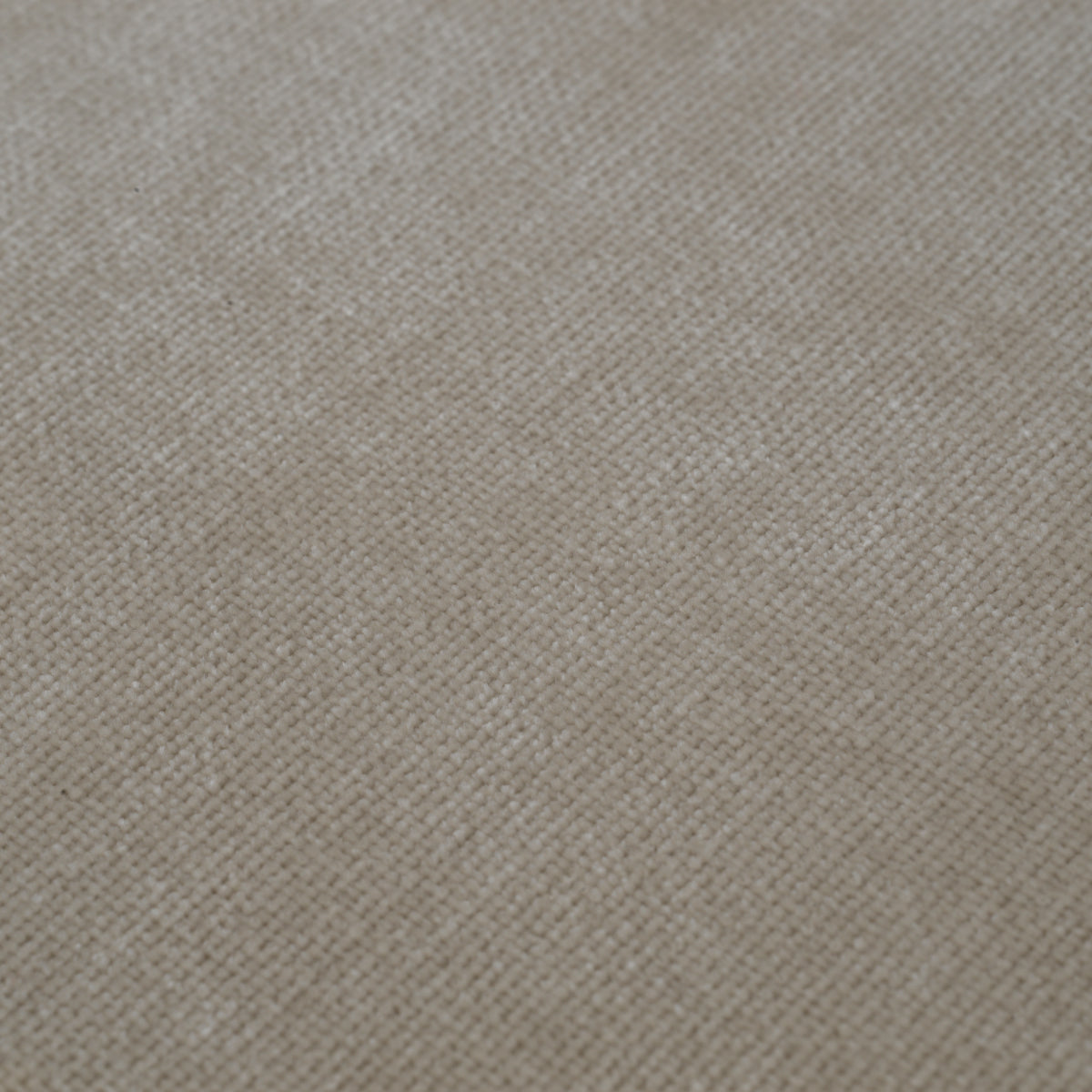 Curved Back Dining Chair Cardinale | Cabothousefurniture.com