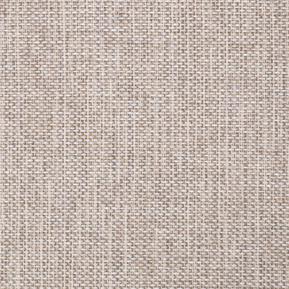 Beige V-Leg Dining Chair Erudit | Cabothousefurniture.com