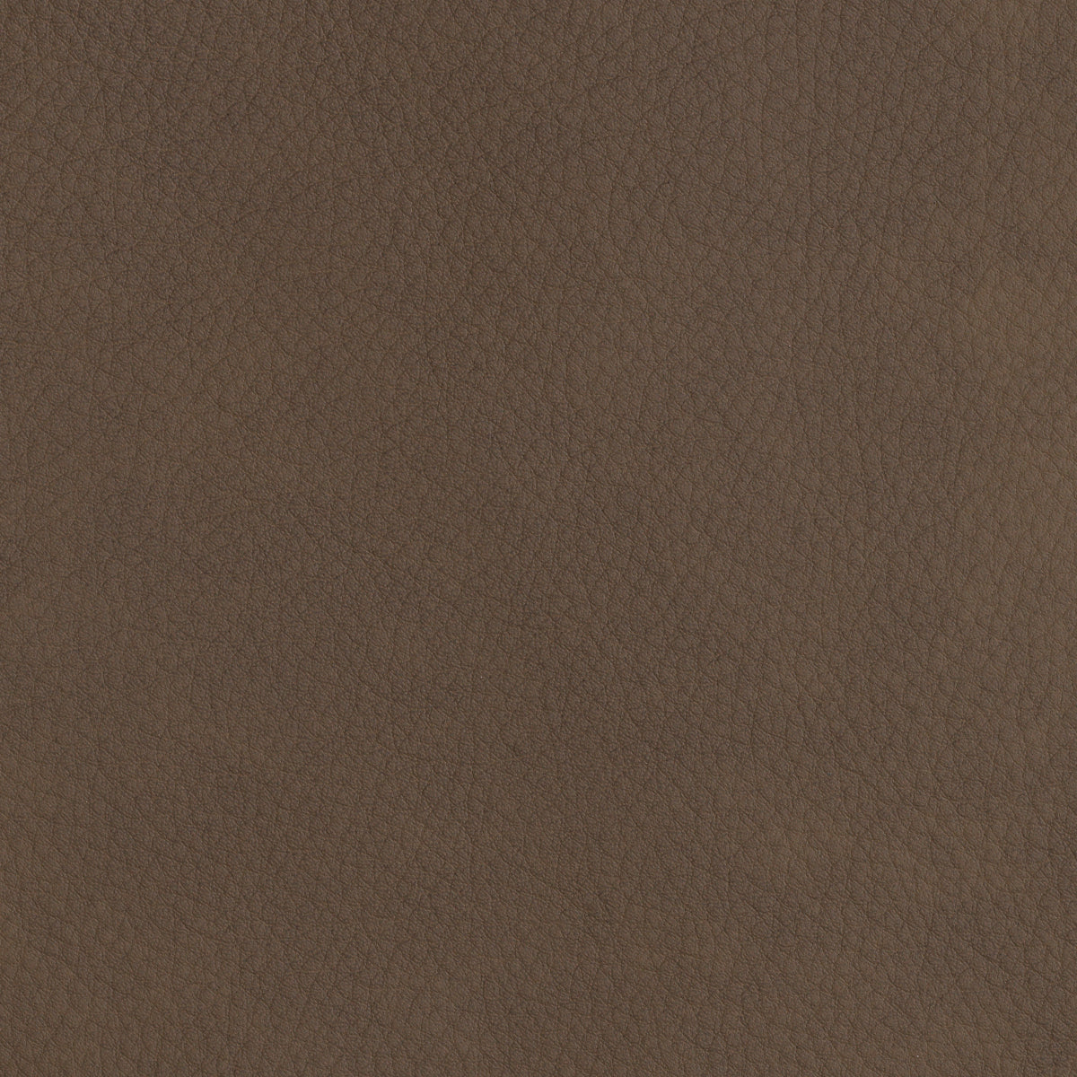 Leather Upholstered Counter Stool Donato | Cabothousefurniture.com