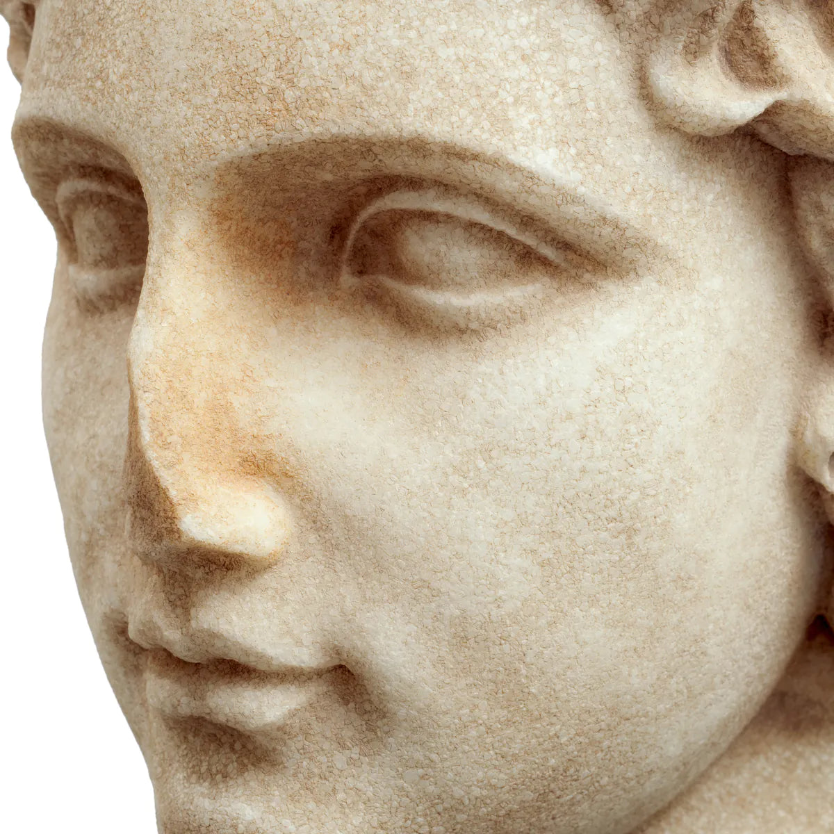 Bust of a Youth