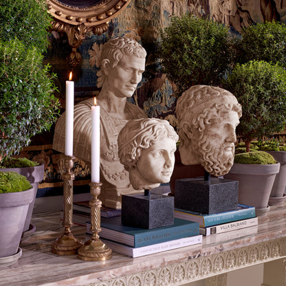 Rome Inspired Sculpture Bust of Julius Caesar