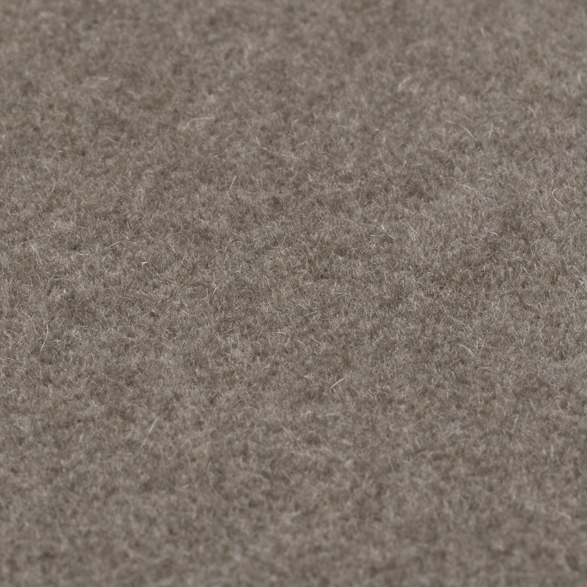 Modern Dining Chair Park