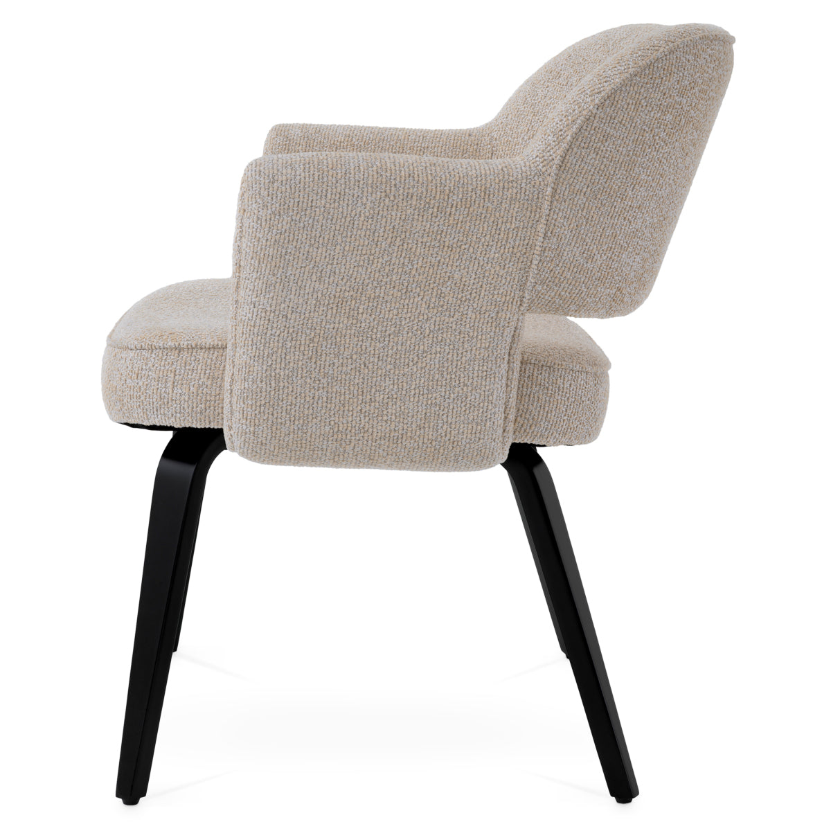 Modern Dining Chair Park